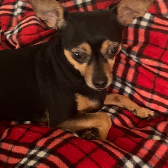 Meet your Posher, Michelle - Picture 3 of 6